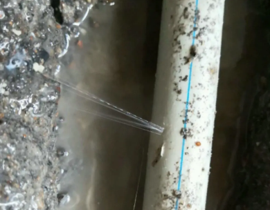 麻城测漏水哪家好