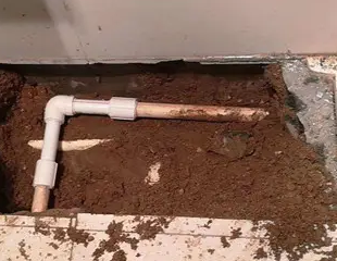 麻城测漏水哪家好