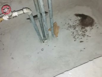 麻城卫生间测漏水价格明细